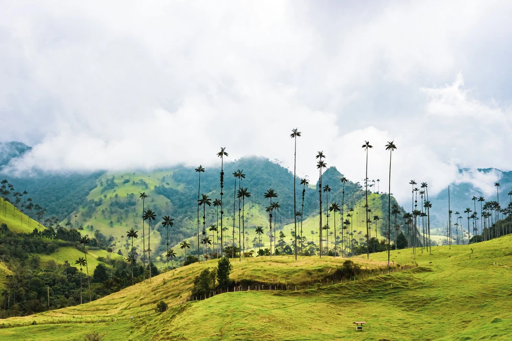 Magical Colombia