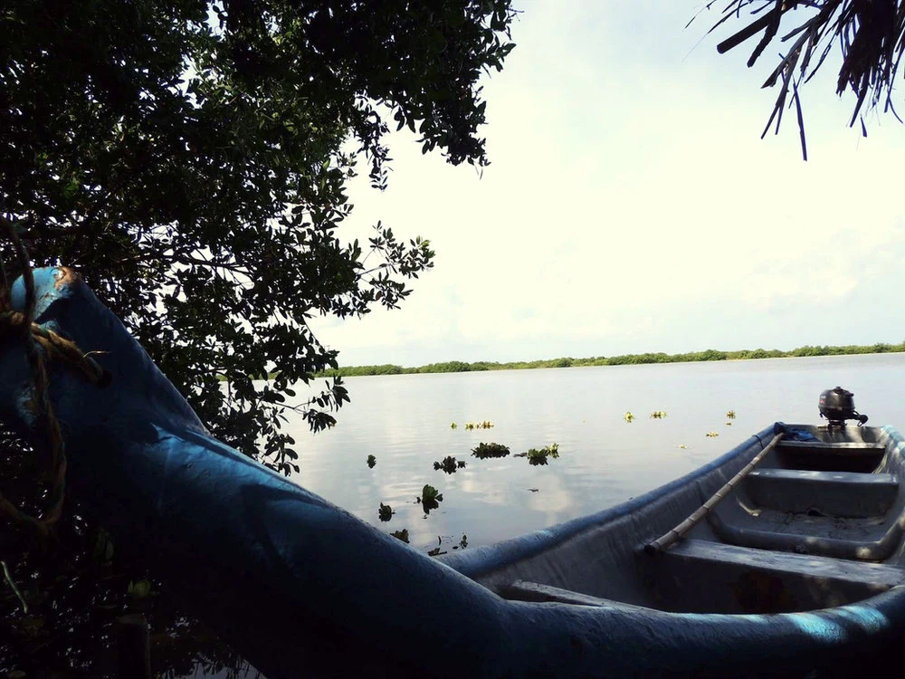 A green mountain escape in Minca